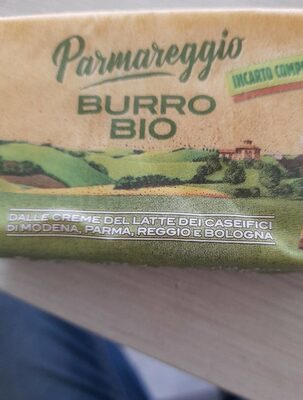 Burro