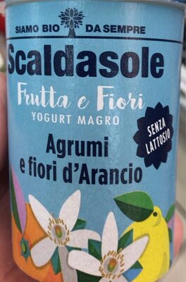 Yogurt magro bio senza lattosio agrumi e fiori di arancio