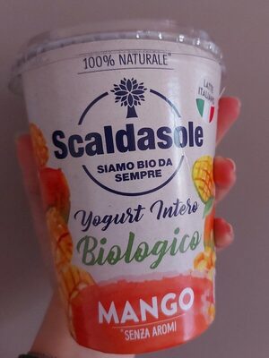 Yogurt biologico