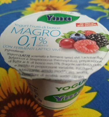 Yogurt magro frutti di bosco