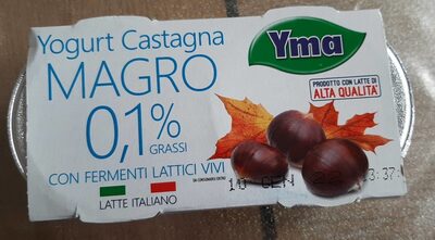 Yogurt Castagna magro