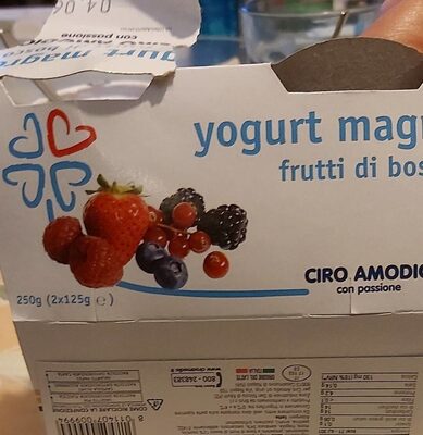 Yogurt magro