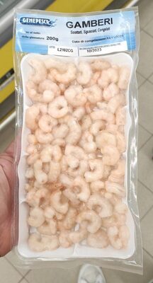 Gamberi