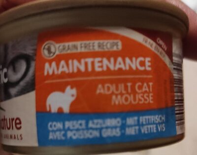 Holistic mousee per gatti