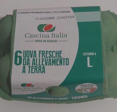 Uova fresce da allevamento a terra