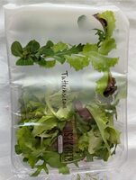 Insalata Tuttinsieme