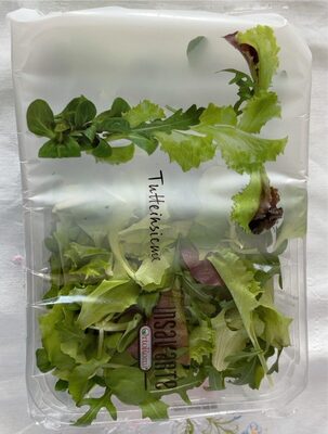 Insalata Tuttinsieme