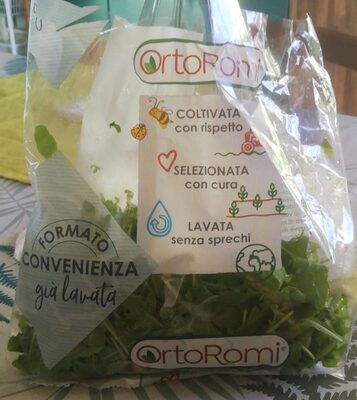 Rucola