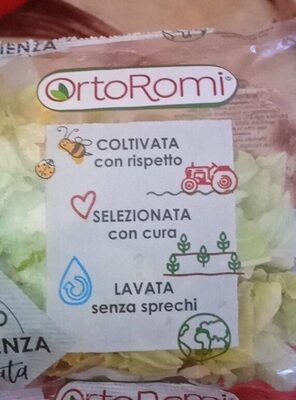 Iceberg front packaging