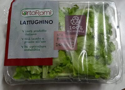 Lattughino