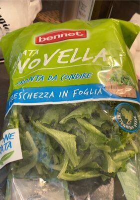 Insalata novella