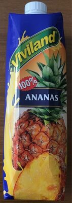 Succo ananas VIVILAND
