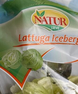 Lattuga Iceberg