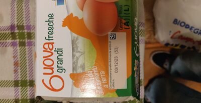 uova