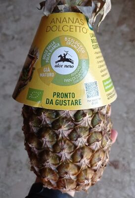 Ananas dolcetto