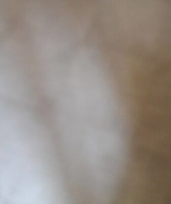 Pizzette sfoglia front packaging