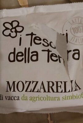 Mozzarella