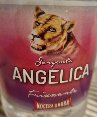 ACQUA ANGELICA FRIZZANTE