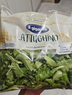 Lattughino