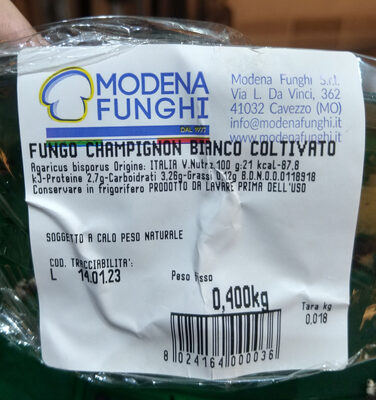 Fungo champignon bianco coltivato