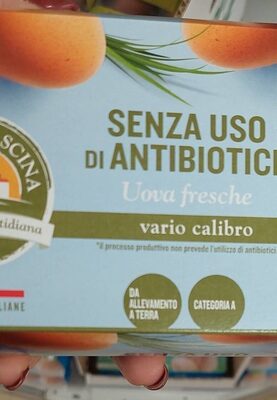 Uova fresche vario calibro front packaging