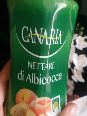 Canaria nettare di albicocca