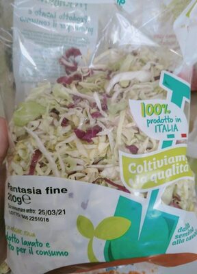 Insalata Fantasia fine