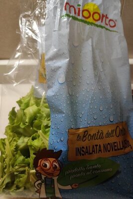 Insalata Novella