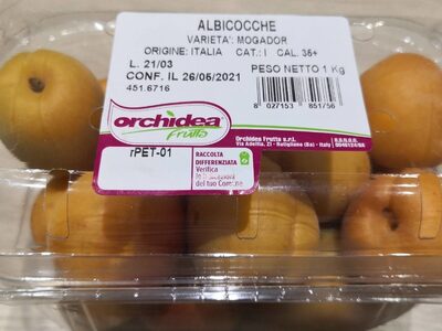 Albicocche Mogador
