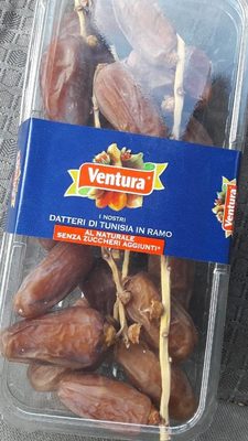 Datteri Deglet Nur di Tunisia in ramo