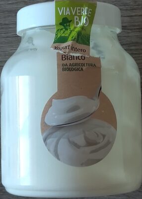 Yogurt intero bianco