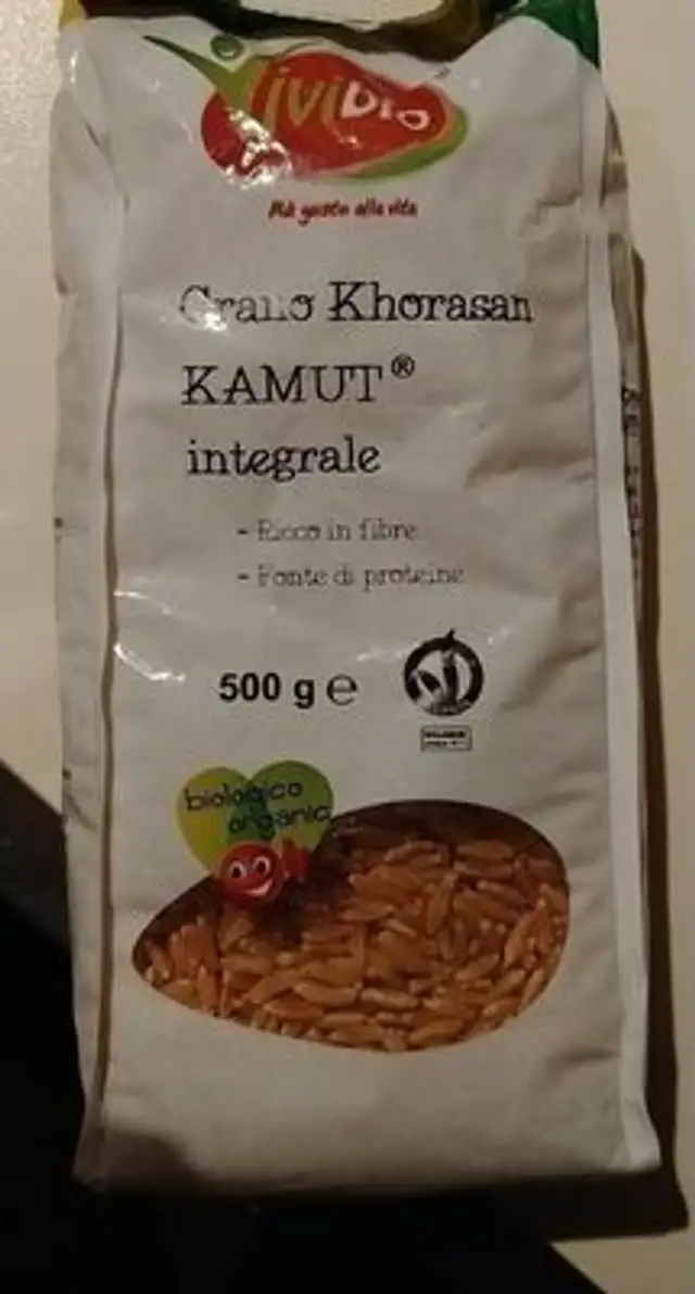 Grano Khorasan Kamut integrale
