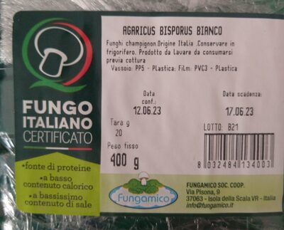 Agaricus bisporus bianco