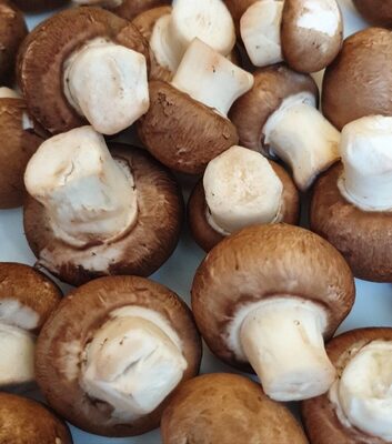 Funghi prataioli coltivati