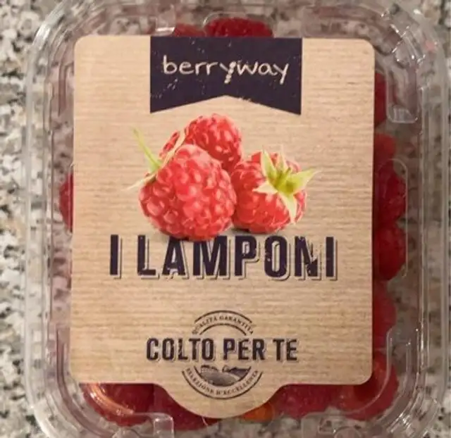 Lamponi