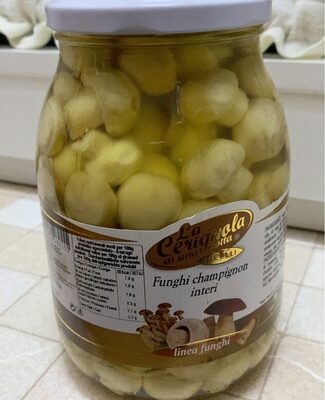 Funghi champignon