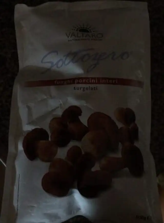 Sottozero Funghi porcini