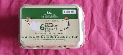 6 Uova Bianche Fresche Bio