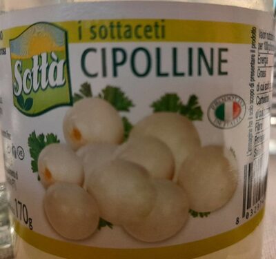 Cipolline
