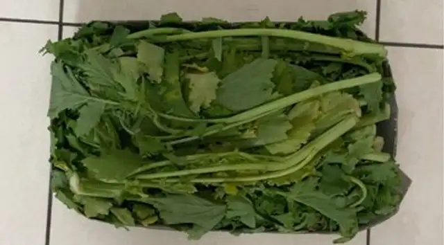 Cime di rapa