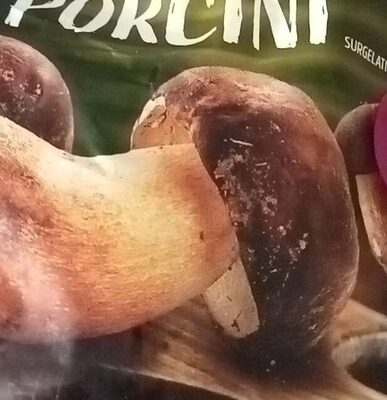 Funghi porcini