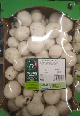 Fungo prataiolo bianco