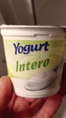 Yogurt intero