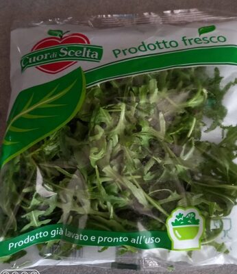 Rucola