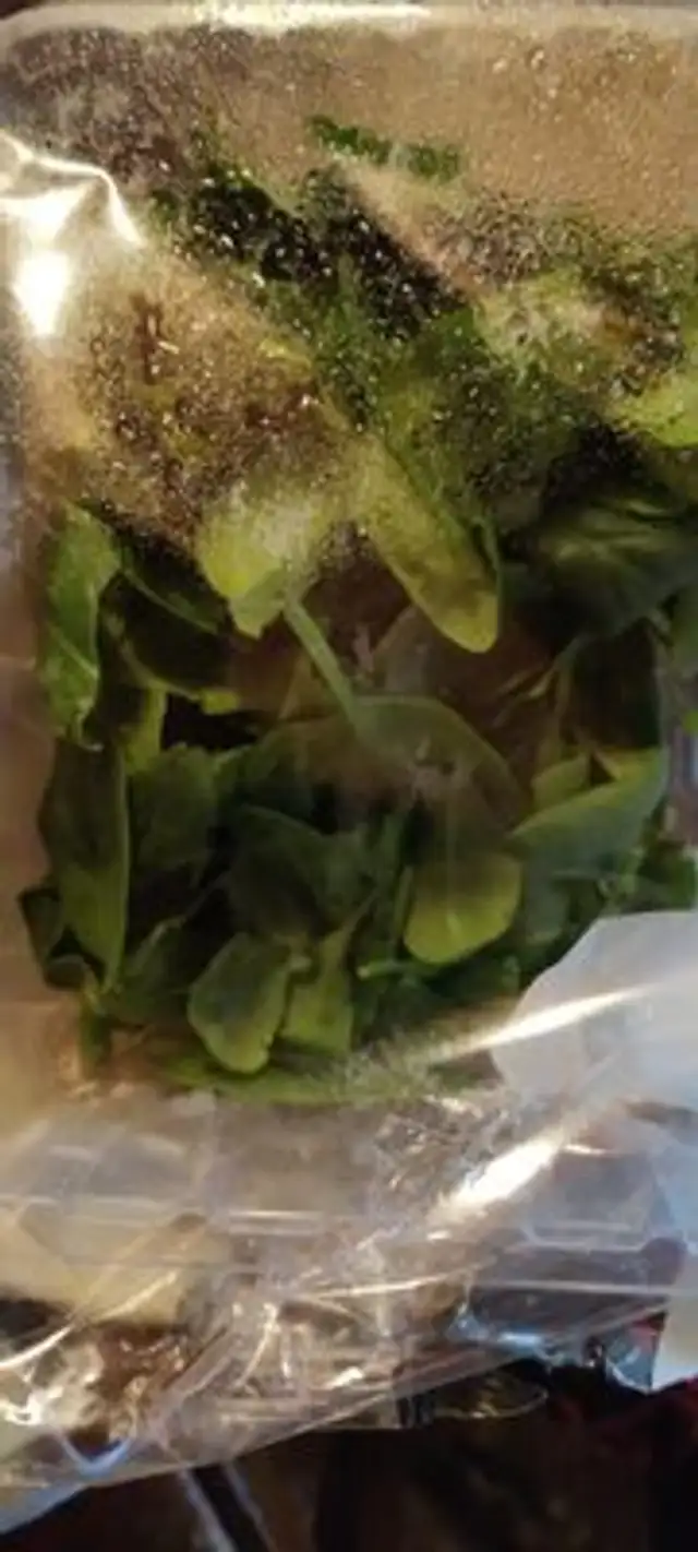 Spinacino