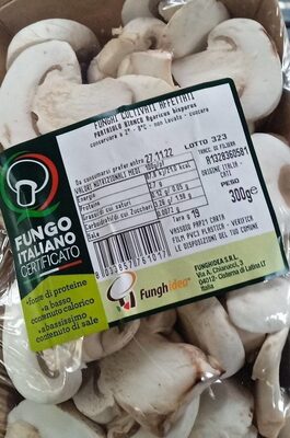 Fungo italiano certificato