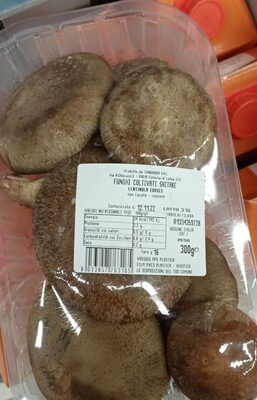 Funghi shitake