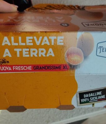 Uova allevate a terra