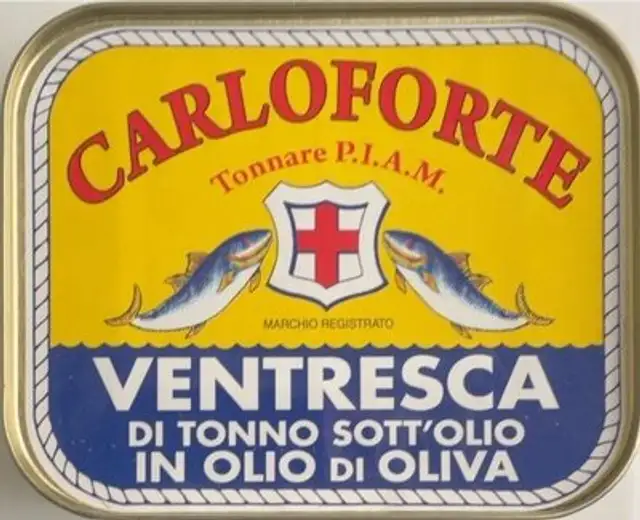 Ventresca di tonno