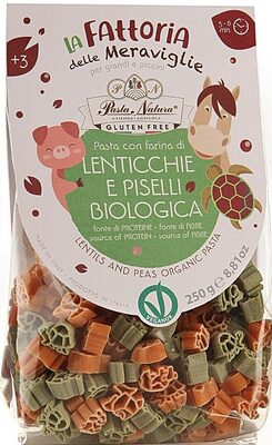 Lentils and peas organic pasta